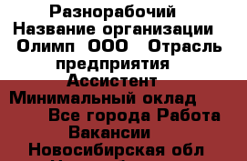 Разнорабочий › Название организации ­ Олимп, ООО › Отрасль предприятия ­ Ассистент › Минимальный оклад ­ 25 000 - Все города Работа » Вакансии   . Новосибирская обл.,Новосибирск г.